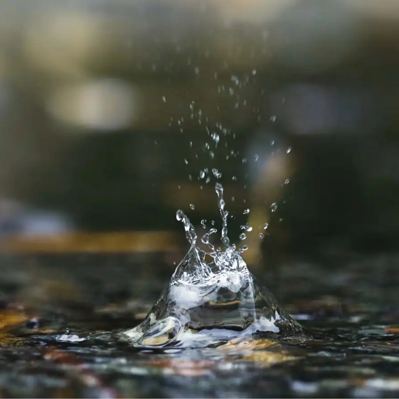Petrichor